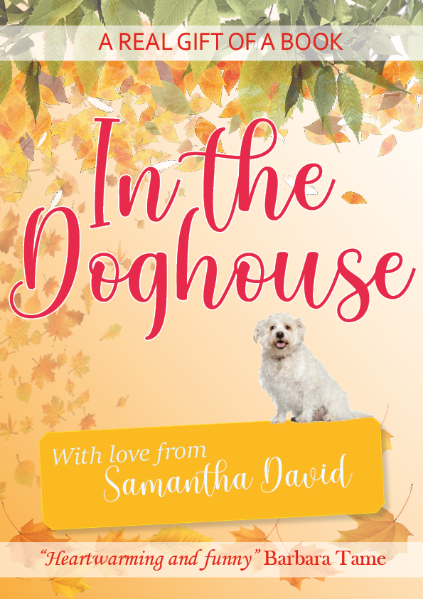 In the Doghouse